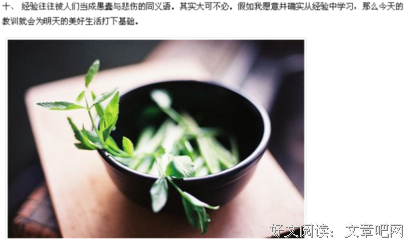 最经典的《不配3》小说句子大全