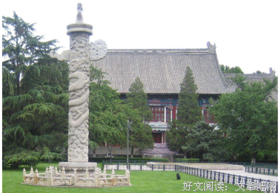 最全的《中文系》好段摘抄