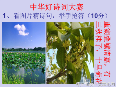 最经典的《千堆雪》小说句子大全