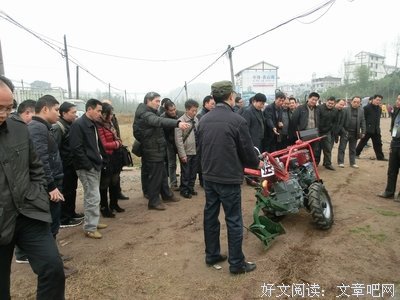 抛头露面的句子