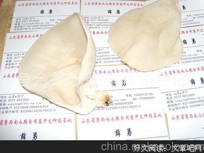顶级干货：学会这样说话，让他更懂得珍惜你的付出