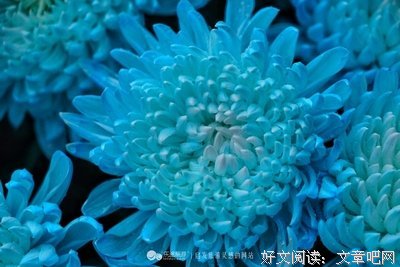 关于幽伤演绎的句子