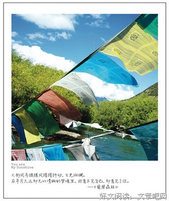 夏茗悠优美的句子