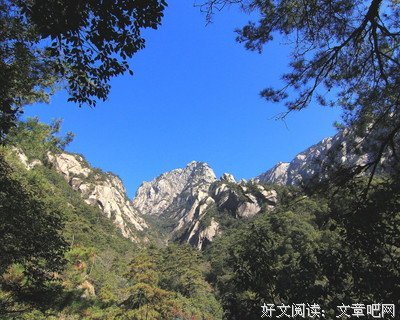 老猪名言警句