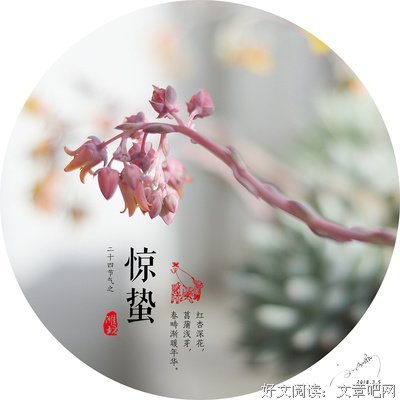 菖蒲精彩语录