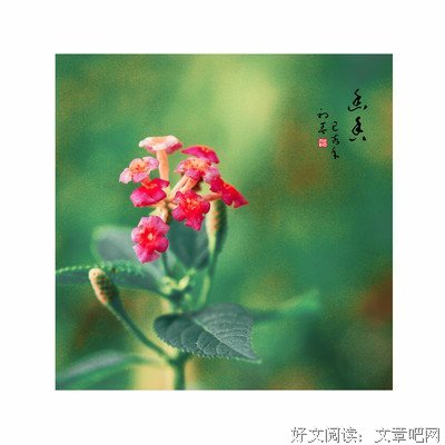 风弄的名句
