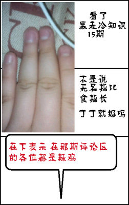 关于食指名言大全
