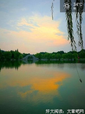 最新的麦九名言