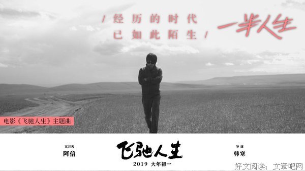 有关阿信名句欣赏