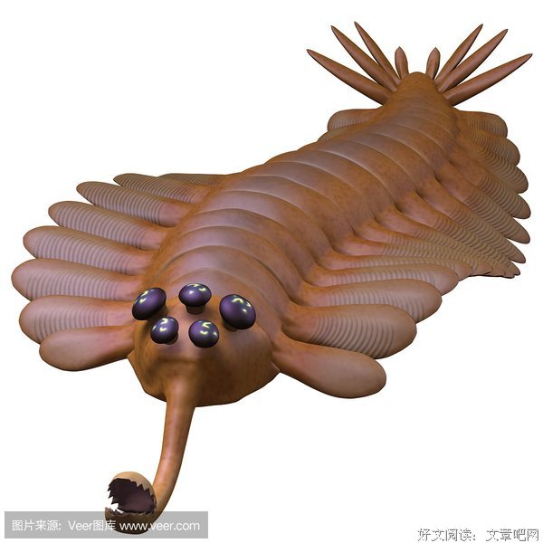 最经典的《寒武纪》小说摘抄