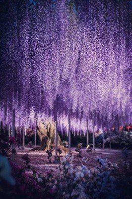 最新的《我是猫》经典的句子