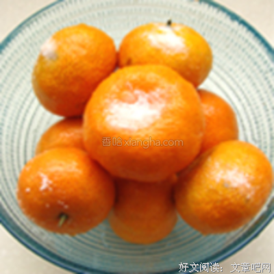 《橘皮书》名句欣赏大全