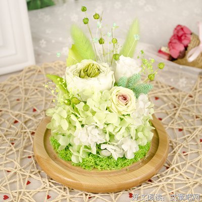 《花物语》小说摘抄