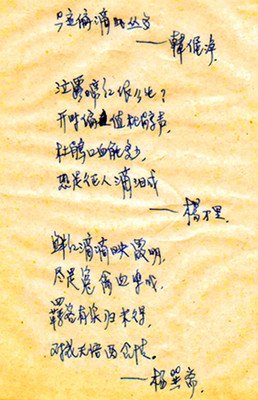 最全的《草草集》小说摘抄大全
