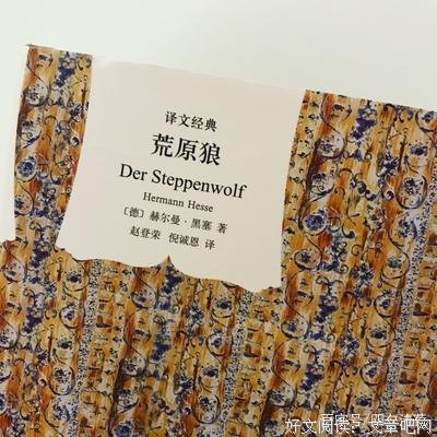 最经典的《荒原狼》小说摘抄大全