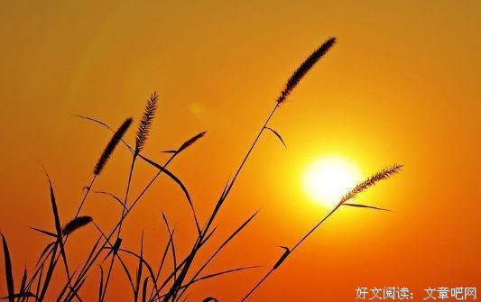 这四种人活得最累，看看是不是你