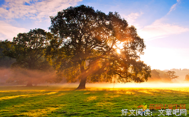 过会毛《雨季不下家他来》句子大全