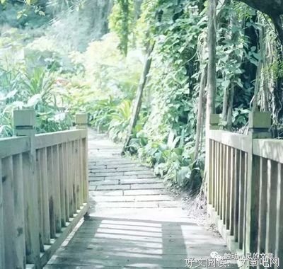 个签优美的句子