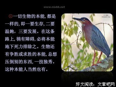 季羡林的名句