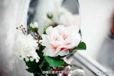 夏风颜名言大全
