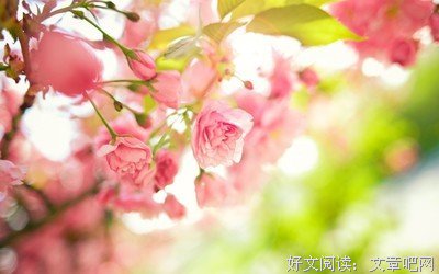 最新的《我的宝贝》经典语录