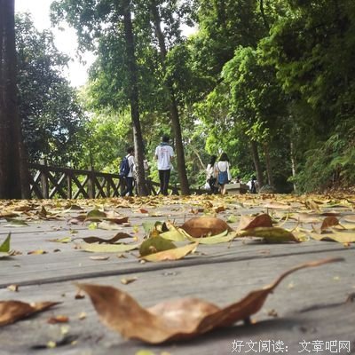 ⊱这些爱情中最美好的瞬间，看完我酸了！