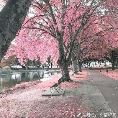 最全的《倾尽天下》经典语句