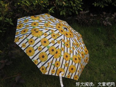 关于永来的格言
