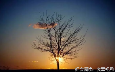男二号的语句摘抄_关于男二号的语句
