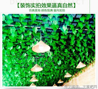 15条关于藤花的经典语句