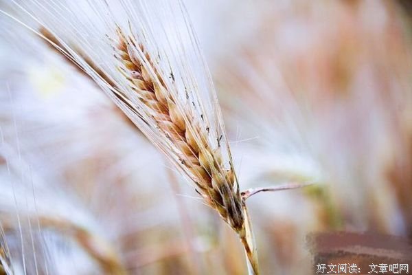所谓高情商，是从不给别人添堵 