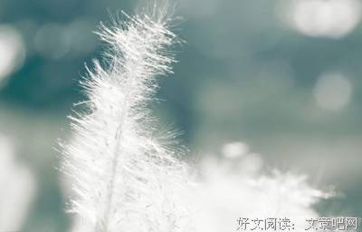 等待，是所有人的告白的句子