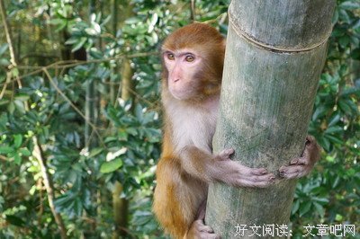 应永春的名言