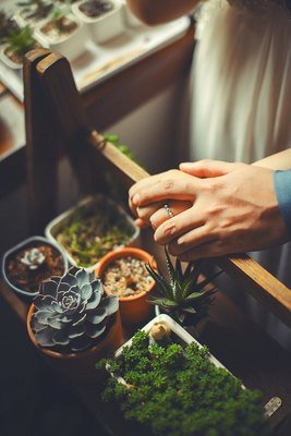 有关廖一梅名言名句