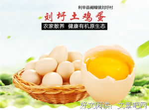 最新的柴鸡蛋经典名句