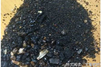 关于榛子壳名句欣赏