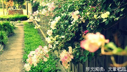 有关李月亮的格言