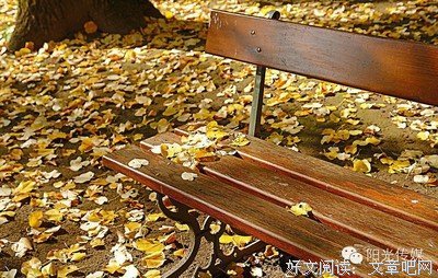 《朝花夕拾》经典句子大全