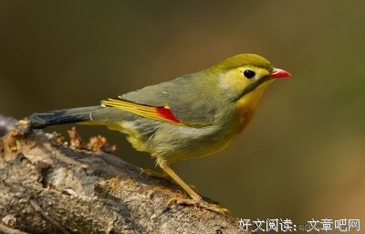 《水不暖月》经典语句
