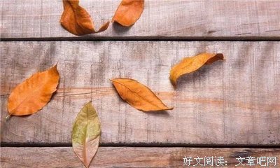 这辈子你会遇见谁，早已命中注定！