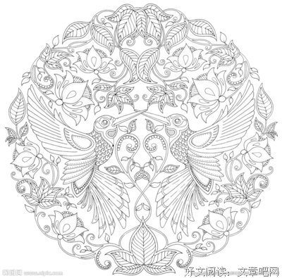 最经典的《秘密花园》语录摘抄大全
