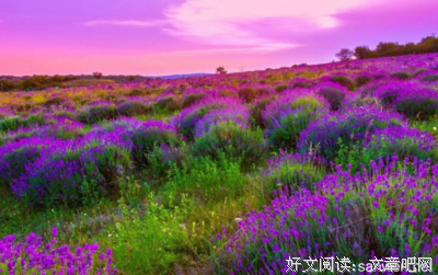 散文随笔优美的句子