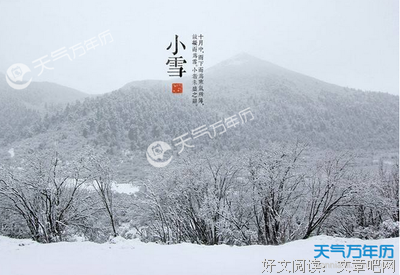 2019洛小雪经典句子