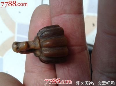 有关王连升的名言