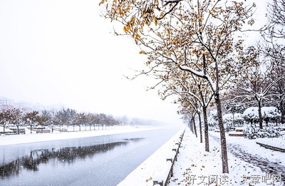 关于积雪草名言大全