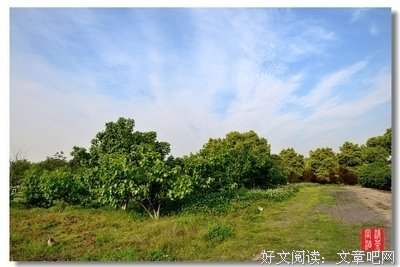 韩湘每日答疑：关于被发好人卡