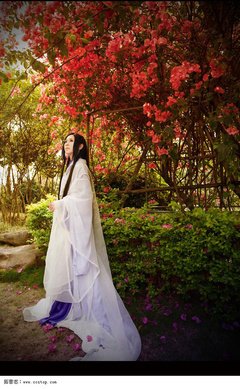 最全的《花容天下》经典的句子