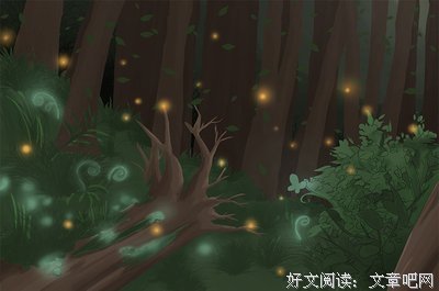 最新的《萤火之森》语录摘抄