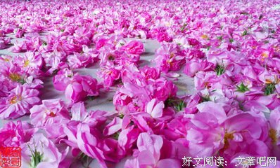 最全的《血色浪漫》经典句子