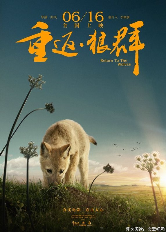 最全的《重返狼群》经典的句子